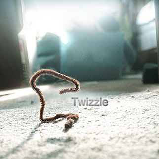 Twizzle's Great Adventure (2) - 2011.06.27 - Photo #0025 vTEXT | Darkwell Studios